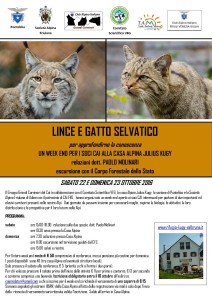 incontro-lince-gatto-locandina-definitiva