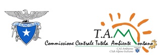 logo-TAM